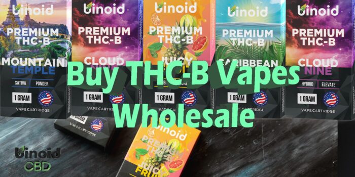 Buy THC-B Vape Carts Wholesale | Bulk THCB Vapes