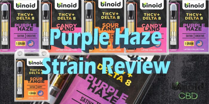 Purple Haze Strain Information And Review