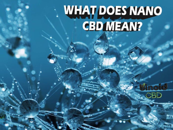 What Does Nano-Enhanced CBD Mean? Why Is It Better?