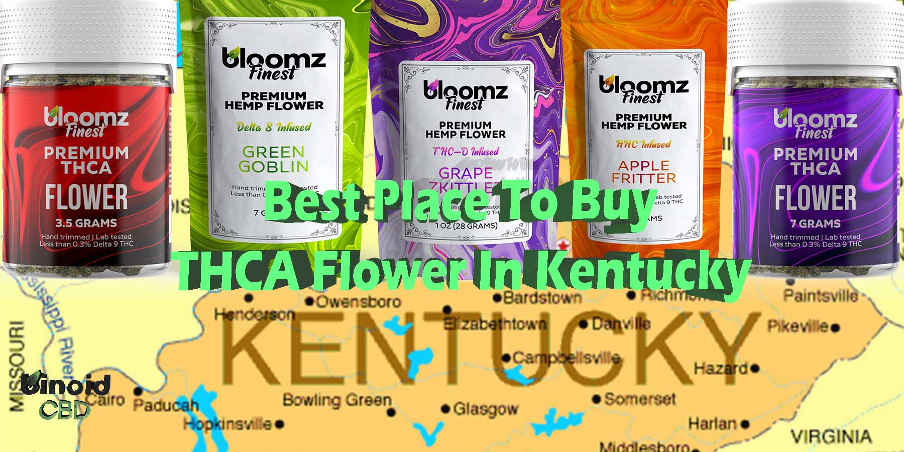 Best Place To Buy THCA Flower In Kentucky What Is THCA Flower Made PreRolls Where To Get Near Me Best Place Lowest Price Coupon Discount Strongest Brand