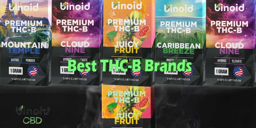 Best THC-B Vape Cart Brands: Reviews Of Top Vape Cartridges