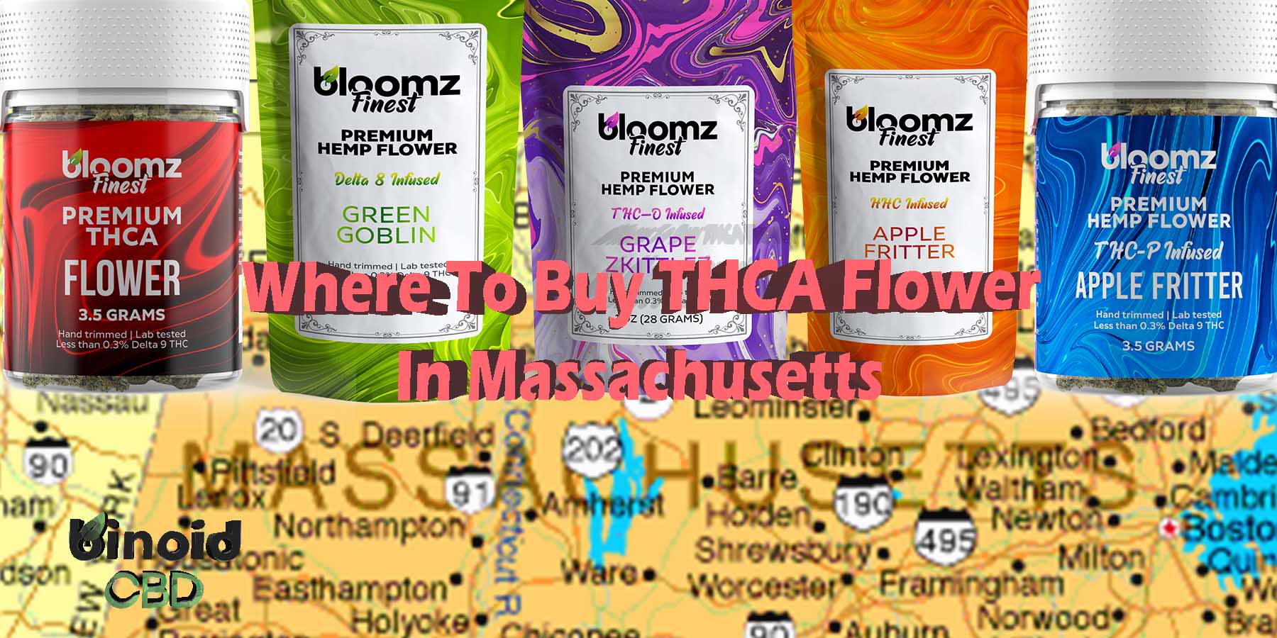 Where To Buy THCA Flower In Massachusetts What Is THCA Flower Where Is It Actually Legal THCA Flower How To Buy THCA