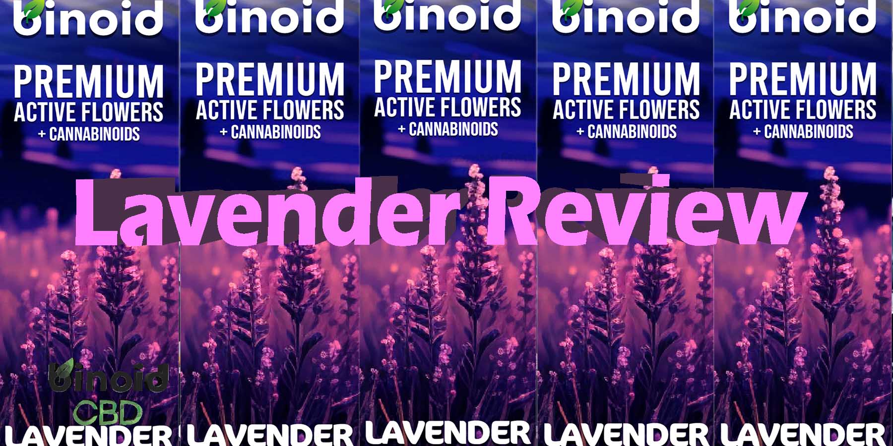 Lavender Review WhereToBuy HowToBuy StrongestBrand BestBrand Discount SmokeShop Flowers-StrongDisposable Binoid