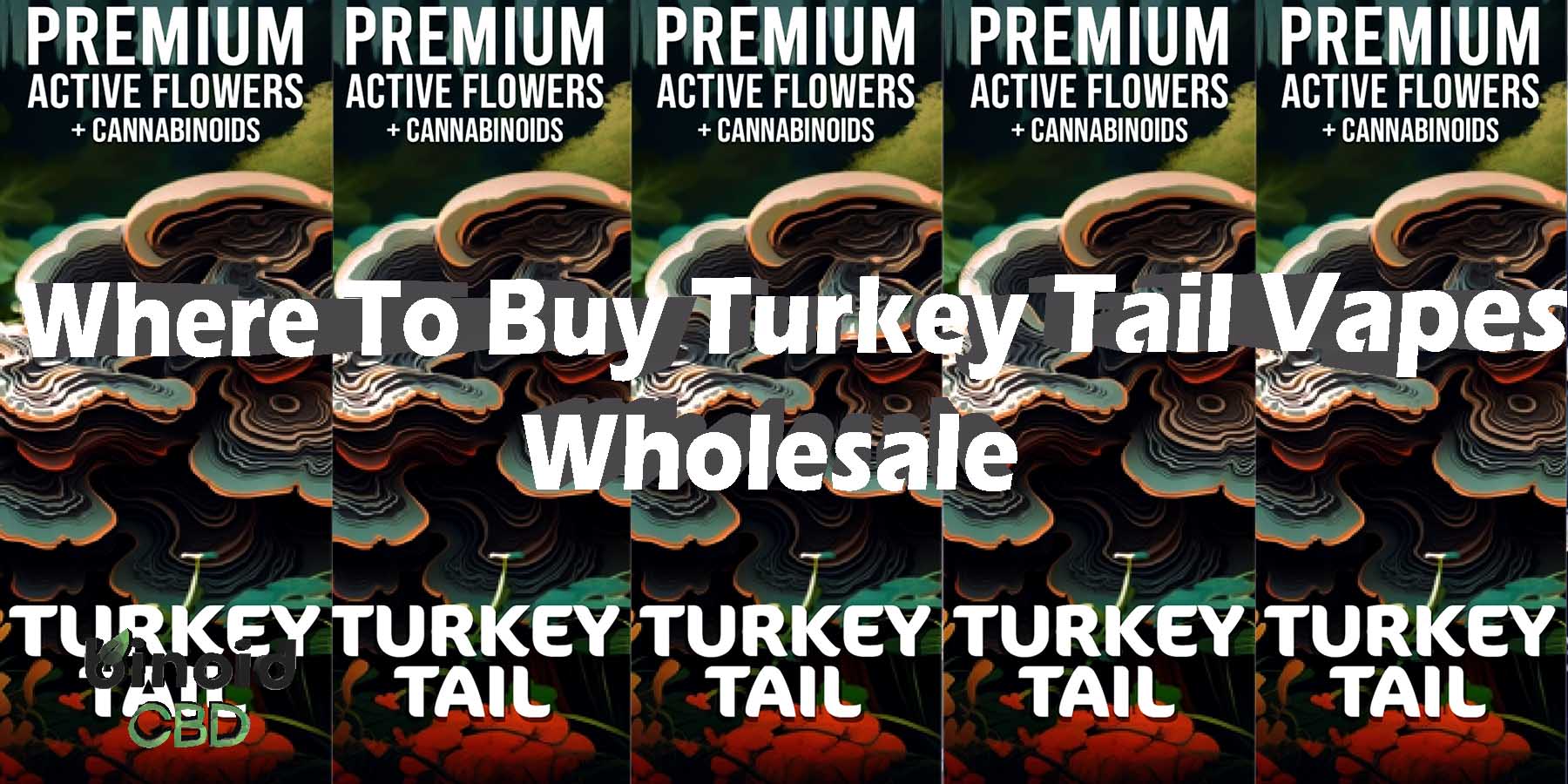 Where-To-Buy-Turkey Tail Vapes Wholesale WhereToBuy HowToBuy StrongestBrand BestBrand Discount SmokeShop Mushrooms Flowers StrongDisposable Binoid