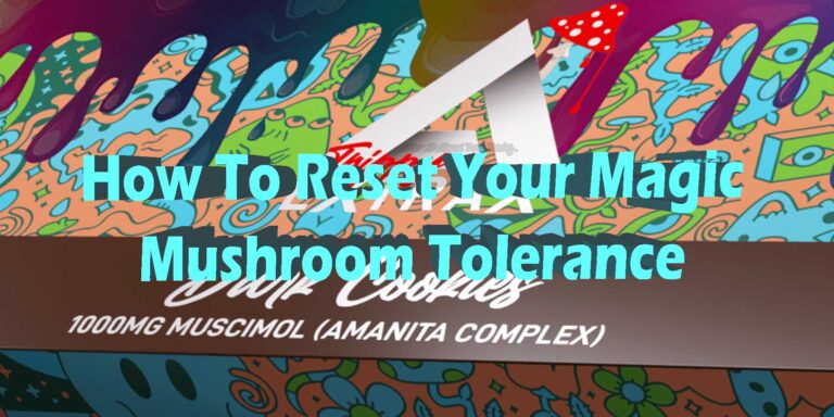 How To Reset Your Magic Mushroom Tolerance