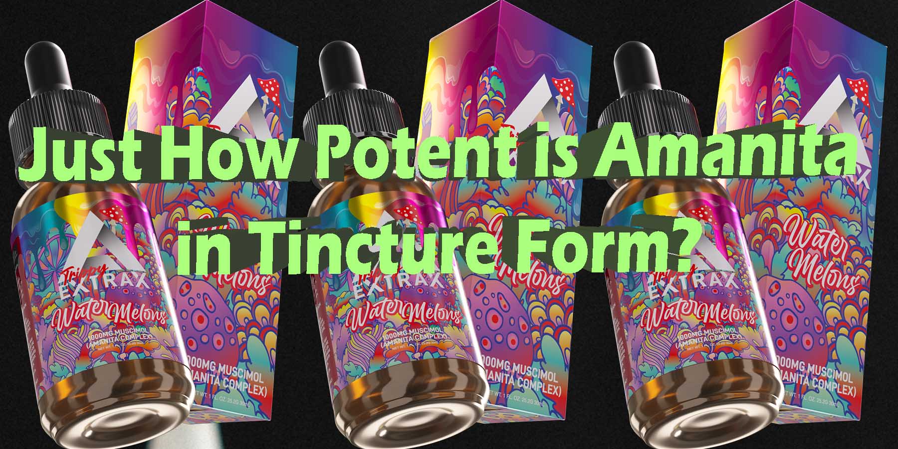 Just How Potent is Amanita in Tincture Form WhatYouMustKnow WhereToGet HowToGetNearMe BestSmokeBrand LowestPrice CouponDiscount