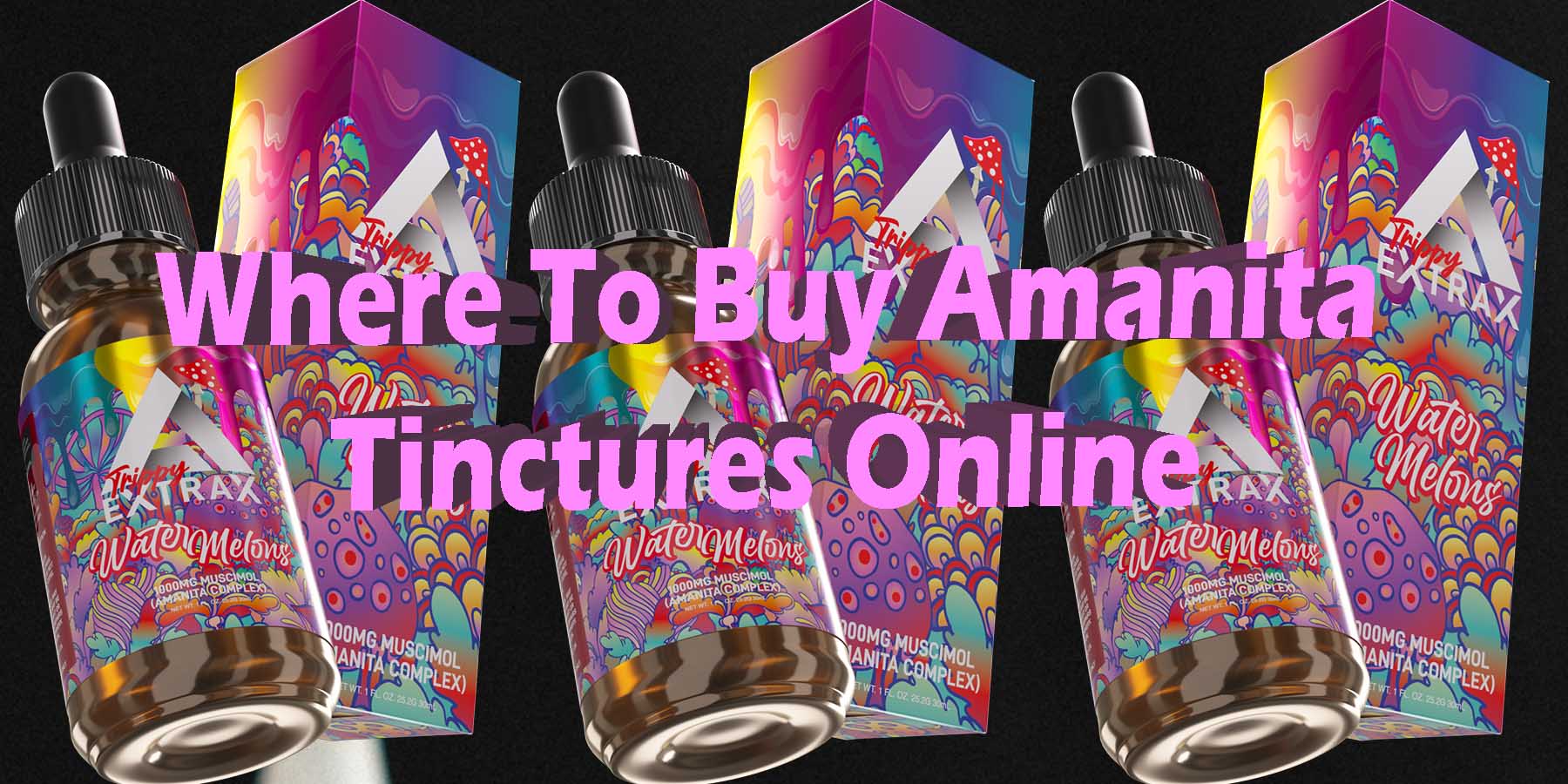 Where To Buy Amanita Tinctures Online What You Must Know WhereToGet HowToGetNearMe BestPlace LowestPrice Coupon Discount StrongestBrand BestBrand Binoid Bloomz