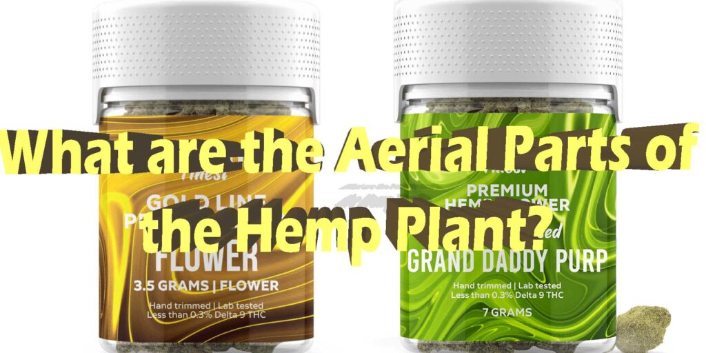 What are the Aerial Parts of the Hemp Plant?