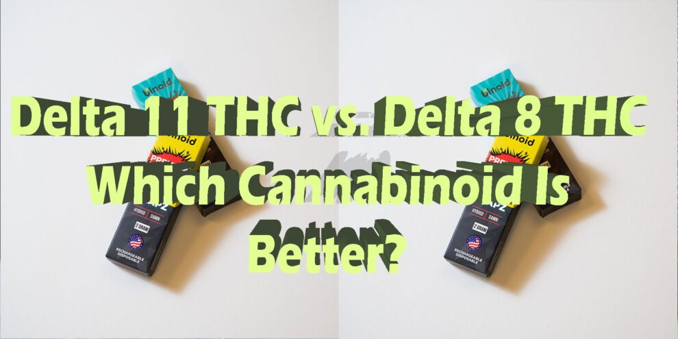 Delta 11 THC Vs. Delta 8 THC - Binoid CBD