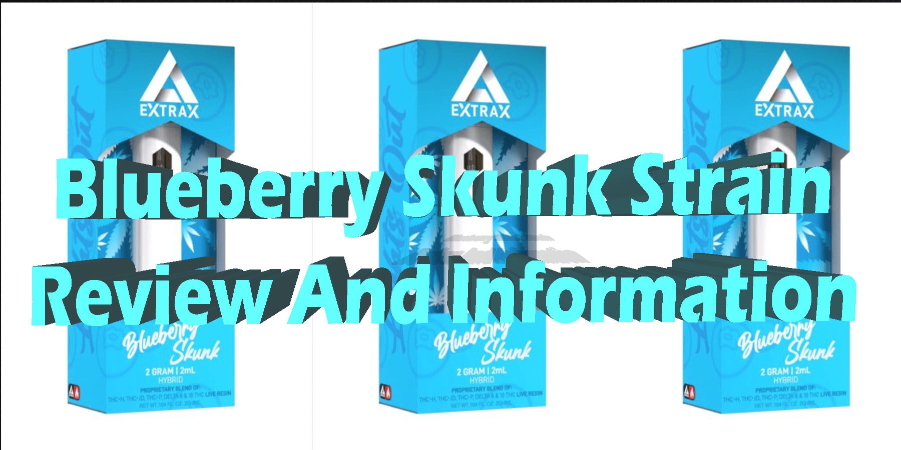 Blueberry Skunk Strain Review And Information HowToGetNearMe BestPlace LowestPrice Coupon Discount For Smoking Best THC Binoid.